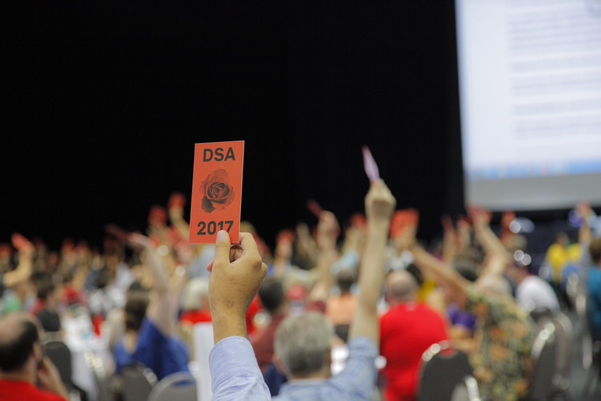 Why Single Transferable Vote is Wrong for Internal DSA Elections