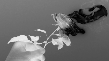 A hand holds up a burning rose against a twilight sky with colors inverted and desaturated to black and white. This image is an inversion of the photo in Ramsin Canon's piece "Ultraliberalism."