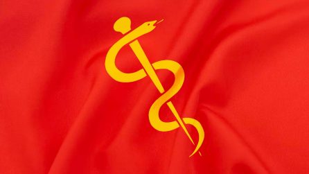 The physician's Rod of Asclepius as a socialist flag.